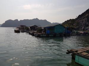 Bahía de Halong- Vịnh Hạ Long