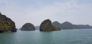 Bahía de Halong- Vịnh Hạ Long