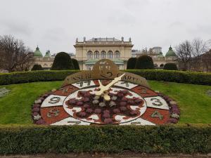 Viena. en noviembre-5