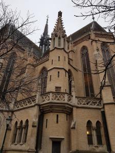 Viena. en noviembre-5