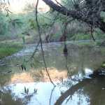 Denuncian que les quieren quitar el agua para ser vendida a la Zona Industrial