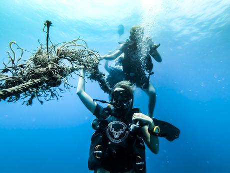 WhatsApp-Image-2019-03-11-at-10.35.59-AM-1024x768 ▷ El mejor buceo en Tailandia