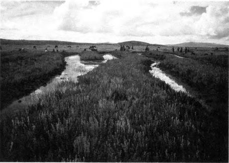 Cómo el estudio de culturas prehistóricas puede enfrentar el deterioro ambiental y beneficiar a la sociedad cañahua en campos de cutlivo elevados en Sangachi Huatta