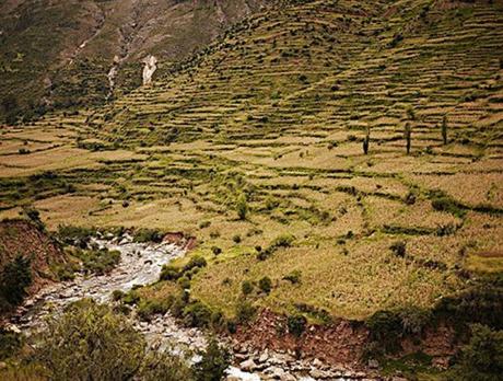 Cómo el estudio de culturas prehistóricas puede enfrentar el deterioro ambiental y beneficiar a la sociedad cj