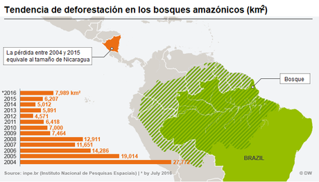 deforestaciona amazonia