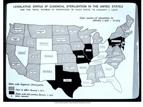 Las campañas de esterilización, una herramienta de poder
