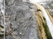 Gorgs Febró Tarragona