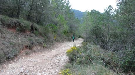 Gorgs de La Febró | Tarragona Gorgs de La Febró | Tarragona