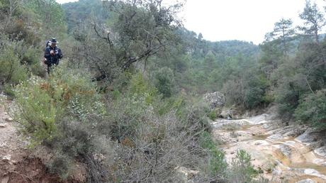 Gorgs de La Febró | Tarragona Gorgs de La Febró | Tarragona