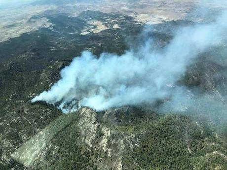 Se registra incendio en la Sierra de San Miguelito
