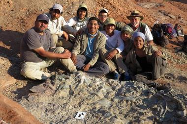 Descubren un extraordinario cementerio de animales de 220 millones de años en San Juan