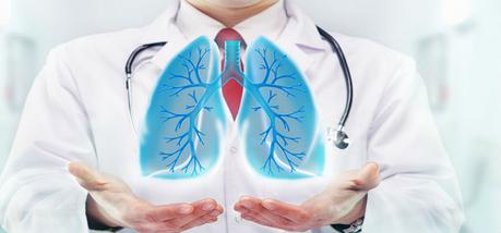 Sistema respiratorio Los músculos intercostales