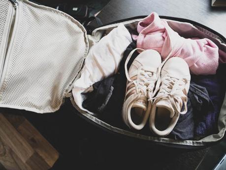 best-laptop-backpack-for-travel-2 ▷ Revisión de Tortuga Setout: Mejor mochila para portátil para viajes