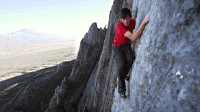 Cinecritica: Free Solo