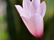 Como practicar mindfulness
