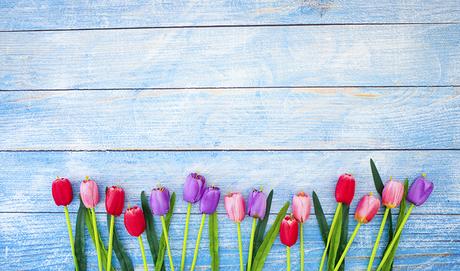 Consejos para combatir las alergias más comunes - Trucos de salud caseros