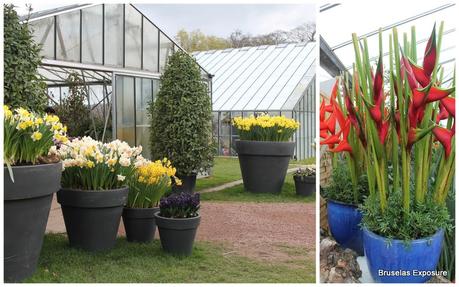 Tres planes imprescindibles de la primavera en Bruselas Tres planes imprescindibles de la primavera en Bruselas
