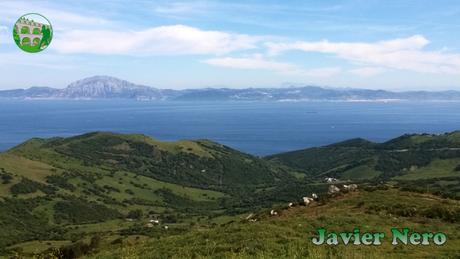 El desembarco de Tariq El desembarco de Tariq