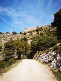 Rutas en familia: Camino de El Saltillo y cementerio de Canillas