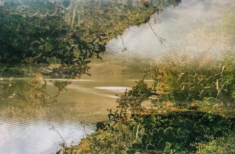 Drishti – La mirada con atención Drishti – La mirada con atención