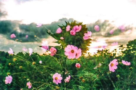 Drishti – La mirada con atención Drishti – La mirada con atención