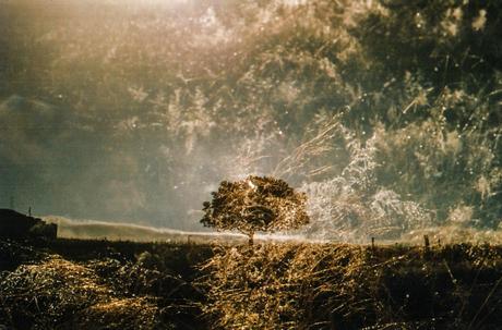 Drishti – La mirada con atención Drishti – La mirada con atención