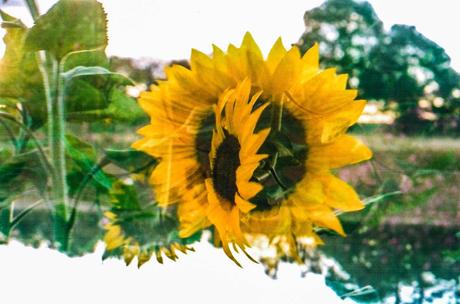 Drishti – La mirada con atención Drishti – La mirada con atención