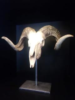 No comerás prójimo No comerás prójimo