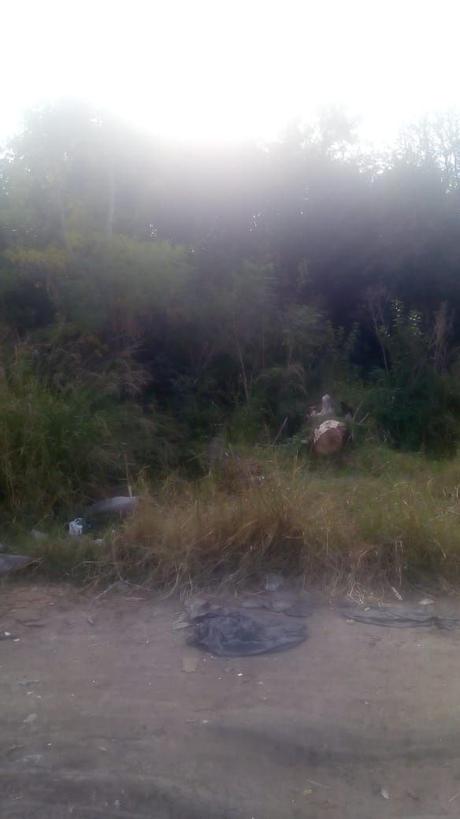 Violó a vecinita de 12 años y además le robó la bombacha