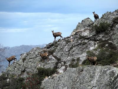 Barriu-Fonfría-La Cugurueza-El Cuernu l´Aguil-L´Aguil-Torce