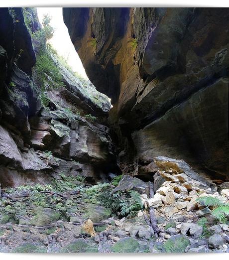 Montañas azules de Australia