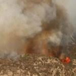 Galería: Así se combate el fuego en la Sierra de San Miguelito