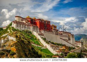 LA MEDITACION TRANSCENDENTAL Y EL CAMINO MEDIO