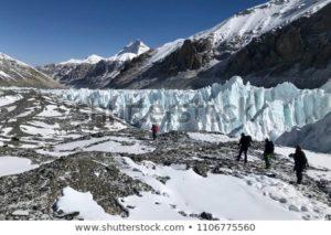 LA MEDITACION TRANSCENDENTAL Y EL CAMINO MEDIO