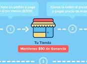 DROPSHIPPING ECOMMERCE