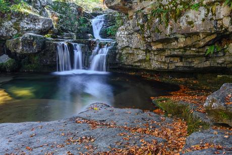 Los-mejores-bosques-para-visitar-quedate-en-Espana-para-vivirlos Los mejores bosques para visitar: quédate en España para vivirlos