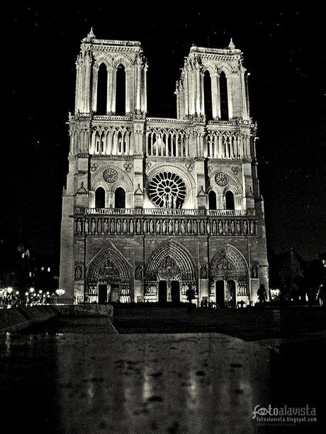 Lagrimas por Notre Dame - Fotografía artística