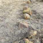 Reportan restos arqueológicos en Sierra de San Miguelito