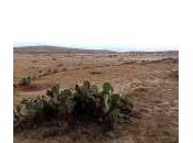 Reportan restos arqueológicos Sierra Miguelito