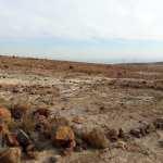 Reportan restos arqueológicos en Sierra de San Miguelito