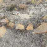 Reportan restos arqueológicos en Sierra de San Miguelito