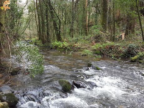 Rois y el Pazo do Faramello