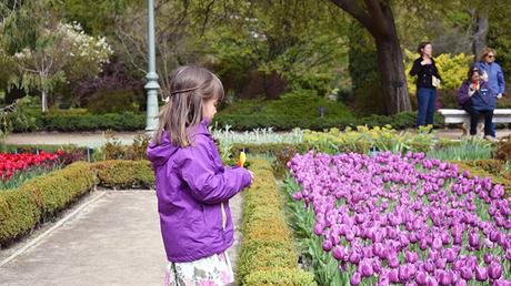 Planazo: Cientos de Tulipanes en el Real Jardín Botánico Madrid