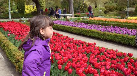 Planazo: Cientos de Tulipanes en el Real Jardín Botánico Madrid