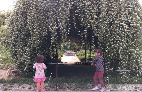 Planazo: Cientos de Tulipanes en el Real Jardín Botánico Madrid