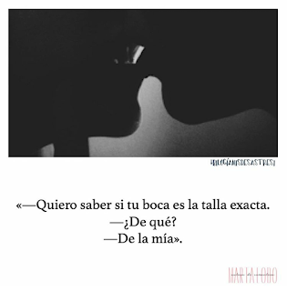 todos-mis-desastres-marta-lobo-bilogia-frases-resena