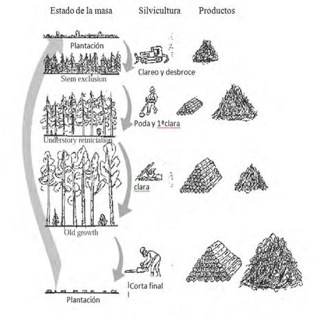 Residuos Especiales: sus Impactos y la minuciosa gestión ambiental figura 3