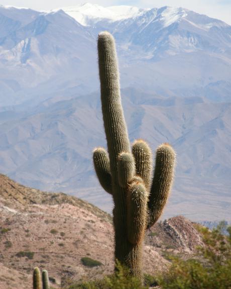 Viajar Inspira, el Norte inspira