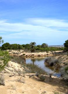 Geopaseos cerca de Elche