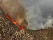 Incendios devoran bosques Luis Potosí